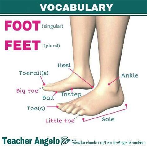 feet inglese|how to spell feet.